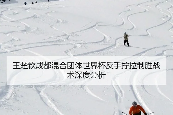 wang-chu-qin-cheng-du-hun-he-tuan-ti-shi-jie-bei-fan-shou-ning-la-zhi-sheng-zhan-shu-shen-du-fen-xi-2-332.jpg