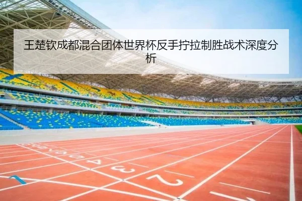 wang-chu-qin-cheng-du-hun-he-tuan-ti-shi-jie-bei-fan-shou-ning-la-zhi-sheng-zhan-shu-shen-du-fen-xi-3-434.jpg